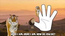 Finger Family Wild Animals Lion Tiger Elephant Daddy Finger Nursery Rhyme Song For Kids 1
