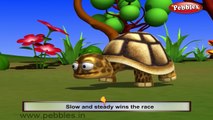 Tortoise Nursery Rhyme | Animal Rhymes | Nursery Rhymes With Lyrics | Nursery Rhymes 3D Animation