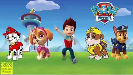 Paw Patrol Songs Collection 30 Minutes Nonstop | Finger Family ABC Twinkle Little Star Songs