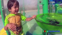 PLAYING AT THE WATERPARK Splash Pad Family Fun Activity in the Pool