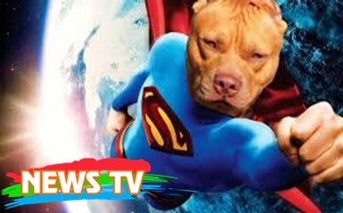 Top 10 siêu năng lực phi thường nhất thế giới lại được sở hữu bởi các loài động vật ít người nghĩ đến