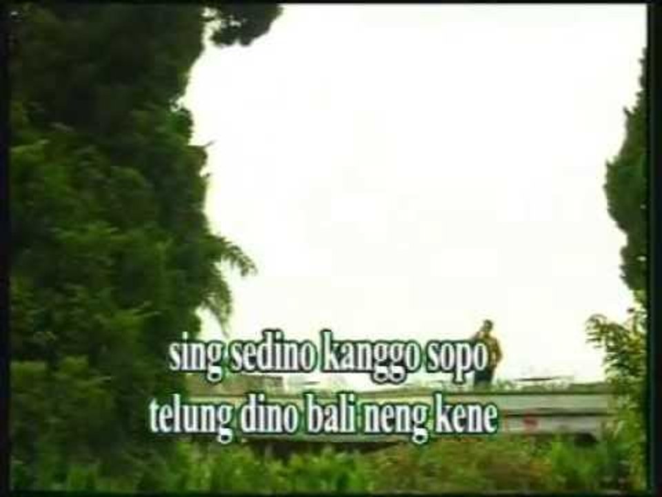 Goyang Chadut - Bojo Loro