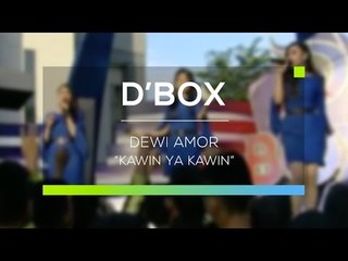 Dewi Amor - Kawin ya Kawin (D'Box)