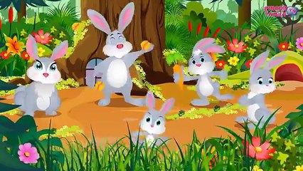 Zebra Finger Family Compilation | Finger Family Zebra Family | Nursery Rhymes for Kids