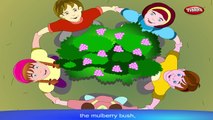 Nursery Rhymes For Kids HD | Mulberry Bush | Nursery Rhymes For Children HD
