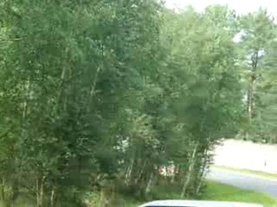 Delorean Europe classic, Raph et Ed