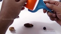 Cockroach Insects Play Doh Modeling | Learn Insects with play doh toy models