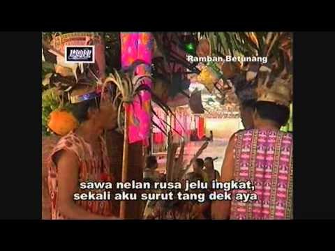 Ramban Betunang - Merikan Anak Sandom, Luyoh Anak Kambot, Nglai Anak Muar, Galu Anak Jurai