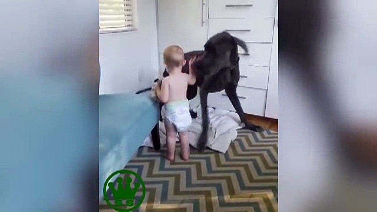 Funny Videos clips-hehe_17