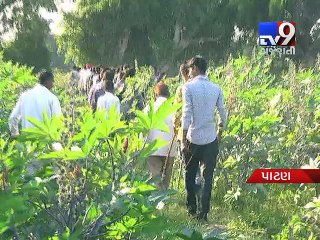 Forest Department uses Drone camera to find leopard in Patan - Tv9 Gujarati