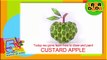 Learn How to draw a CUSTARD APPLE | Kids Drawings | Drawing Fruits With Kids | Tada-Dada Art Club