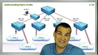 VLANs, and Trunks, and Switches