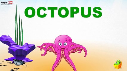 Sea Animals - Pre School - Learn English Words (Spelling) Video For Kids and Toddlers