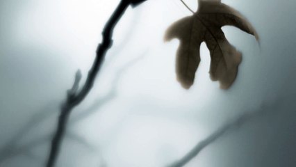 Hyundai : Genesis G80