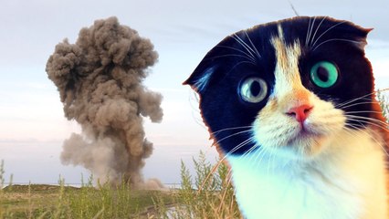 100 ЛИТРОВ БЕНЗИНА + ПЕТАРДА! ЧТО ТО ПОШЛО НЕ ТАК (