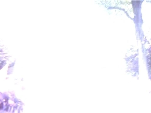 PSG-OM 2007 MARSEILLAIS CHANTENT A LA GLOIRE DE Mr SARKOZY