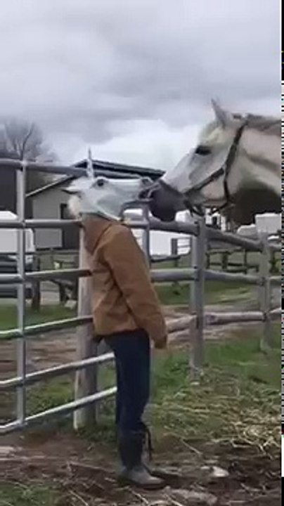 Cheval vs Tête de licorne