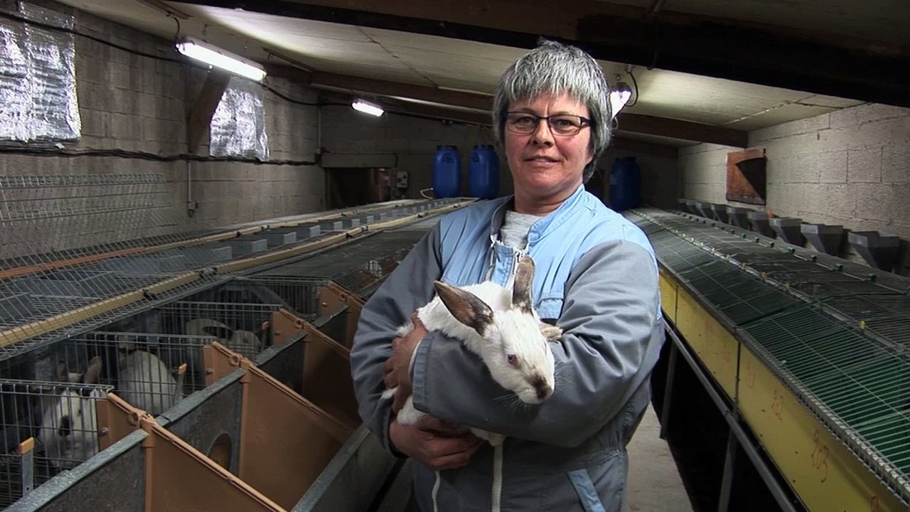 Produisons autrement :  Réduire l’utilisation des antibiotiques jusqu’à leur suppression