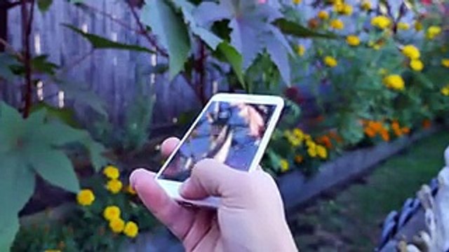 iPhone 7 Plus vs Samsung Galaxy S7 Edge & Note 7 Full Comparison!