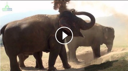 whats happen when Hazrat muhammad Born