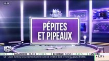 Pépites & Pipeaux: Vetoquinol - 20/12