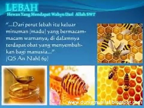 [17] Kisah Mualaf Mengharukan...CASSIE (PERAWAT AS) MASUK ISLAM Karena Melihat PASIENNYA (Mualaf) Sholat..