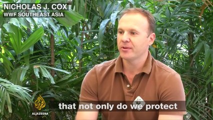 163 new species discovered in the greater Mekong region