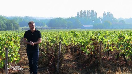 Chemins de traverse : Vignoble La Preuille