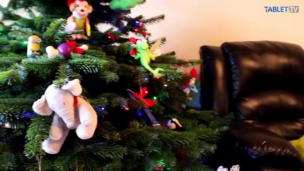 Odolal vianočný stromček vášmu psíkovi a mačke? Niekde to nebolo ľahké
