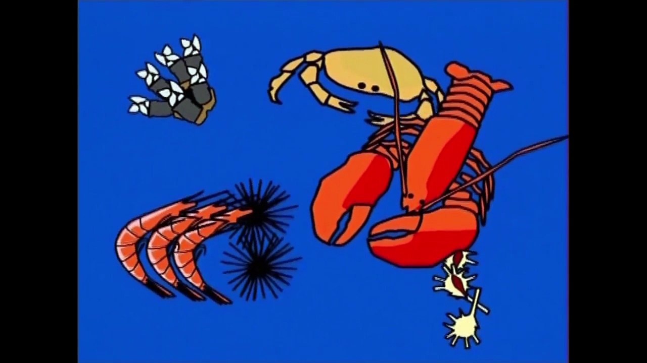 Why Are Toucan Beaks So Strong? | Kids Learning Videos | Healthy Food | Zinc Vitaminix BabyToonz