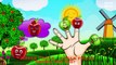 The Finger Family Carrot Nursery Rhymes | Carrot Vegetable Finger Family Songs For Kids