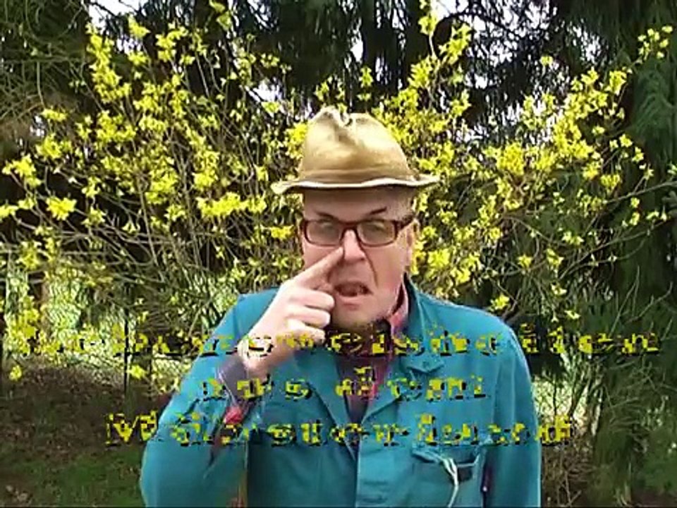 Ernas Weihnachtsgeschenk - das Fest der Liebe. Früher war mehr Lametta