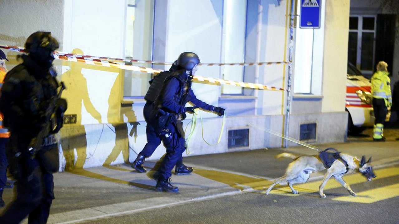 Ελβετία: Νεκρός ο δράστης της επίθεσης σε τέμεν...
