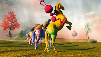 Animals Finger Family Rhyme | 3D Animated Finger Family Songs | Daddy Finger Family Rhyme Song