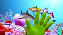 Shark Finger Family Songs | Finger Family Shark Children Nursery Rhyme | Animal Finger Family