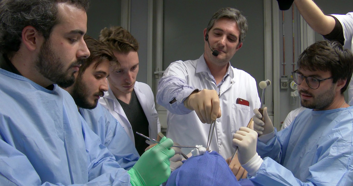 Voeux 2017 de la faculté de médecine de Nice - Laboratoire d'anatomie  - Mannequin Challenge