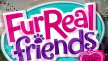 Hasbro - FurReal Friends - Walkin Kitties Bootsie - A4088 - TV Toys