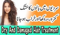 Khushk And Rukhay Balon Ka Ilaaj | Repair Dry,Damaged,Rough Hair Tips