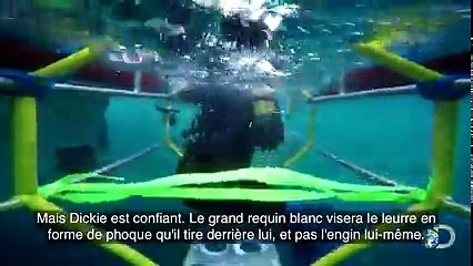Le saut le plus spectaculaire d'un grand requin blanc
