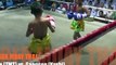 Combat d'enfant boxe Thailandaise