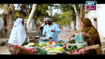 Sabz Qadam Episode 03 - on Ary Zindagi in High Quality 20th December 2016