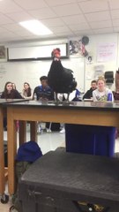 Student Has Incredible Reaction to Animals in Zoology Class