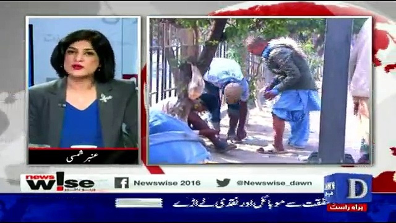 News Wise - 20th December 2016