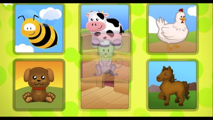 Animals Babies and Homes | Baby Animals | Animal Homes | Animal Habitats