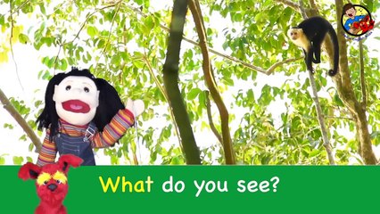 What Do You See? Song | Wild Animals | Learn English Kids