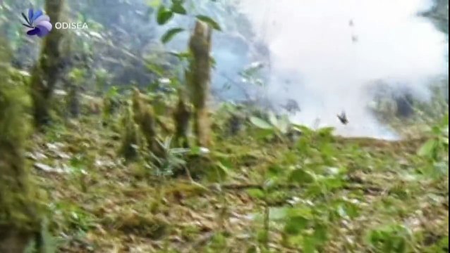 Operaciones ocultas 01x06 Operación Muerte Segura