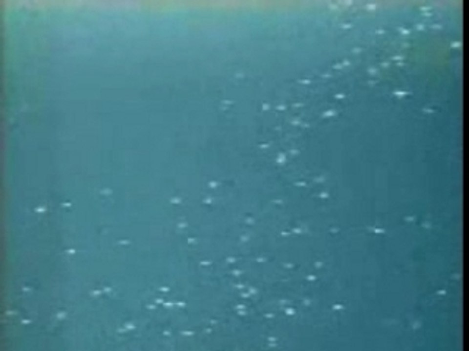 UFO  Armada 255 UFOs (Mexico.11-04-2005)