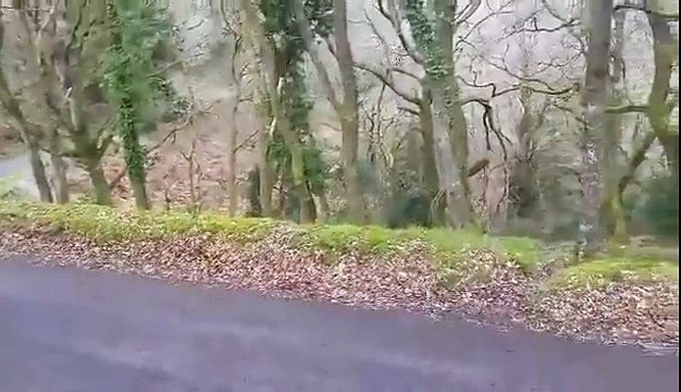 Land Rover Discovery Drift Somerset Stages 2016