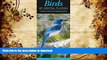 Read Book Birds of Central Florida: A Guide to Common   Notable Species (Quick Reference Guides)
