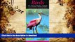 Free [PDF] Birds of Southeast Texas   the Upper Texas Coast:  A Guide to Common   Notable Species